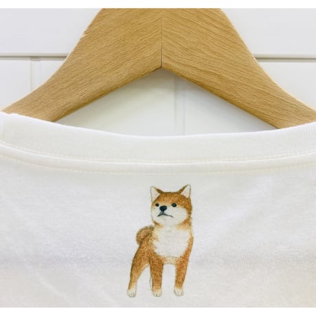 レディスTシャツ☆柴犬