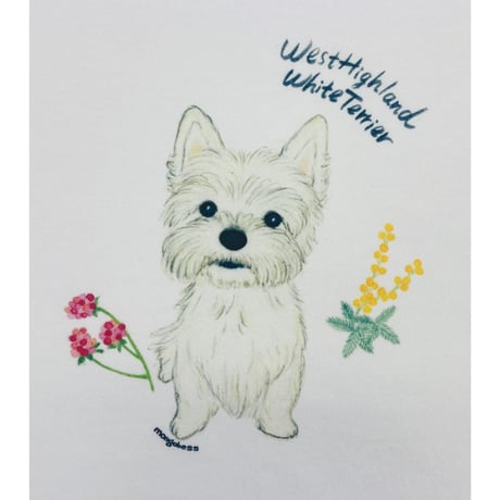 ビックTシャツ☆ウエスティ