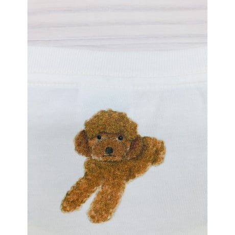 レディースTシャツ☆プードル