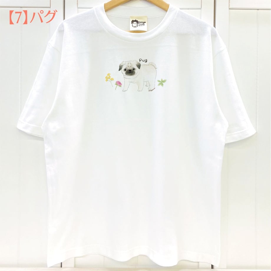 63ff13e57c42ee7ed09798eb