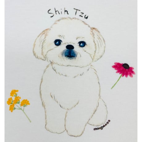 レディースTシャツ☆シーズー