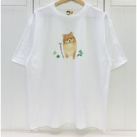 ビックTシャツ☆ポメラニアン