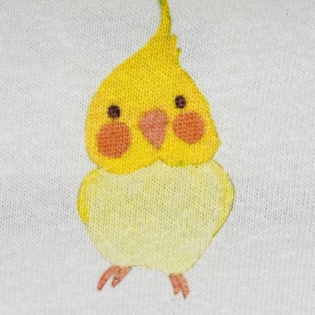 ビックTシャツ☆ボタニカルオカメ