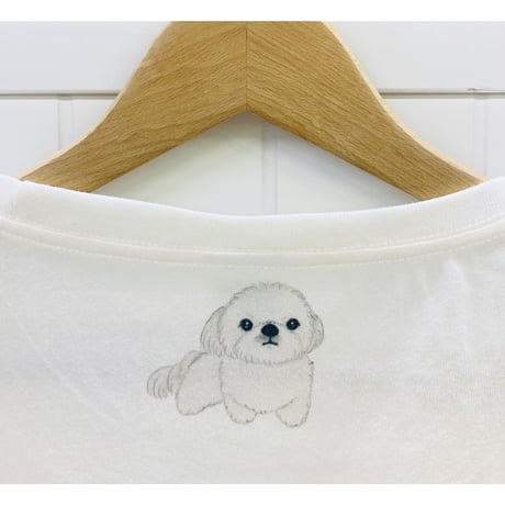レディースTシャツ☆シーズー