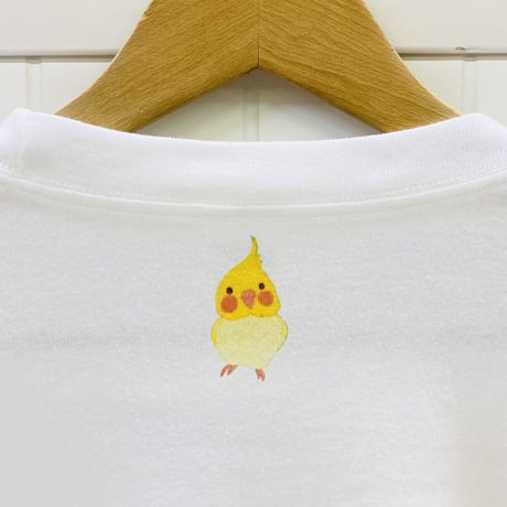 ビックTシャツ☆ボタニカルオカメ