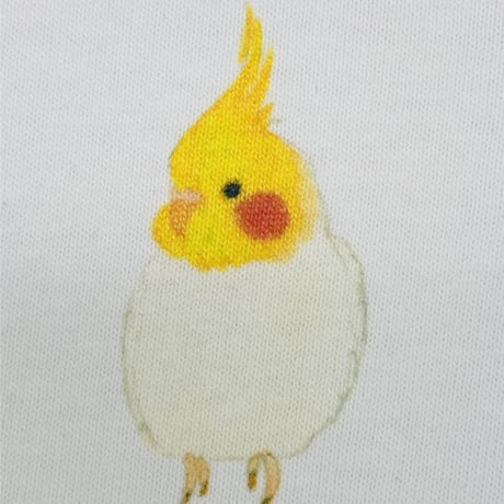 レディースTシャツ☆ラウンドオカメ