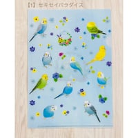 クリアファイル☆ことりシリーズ