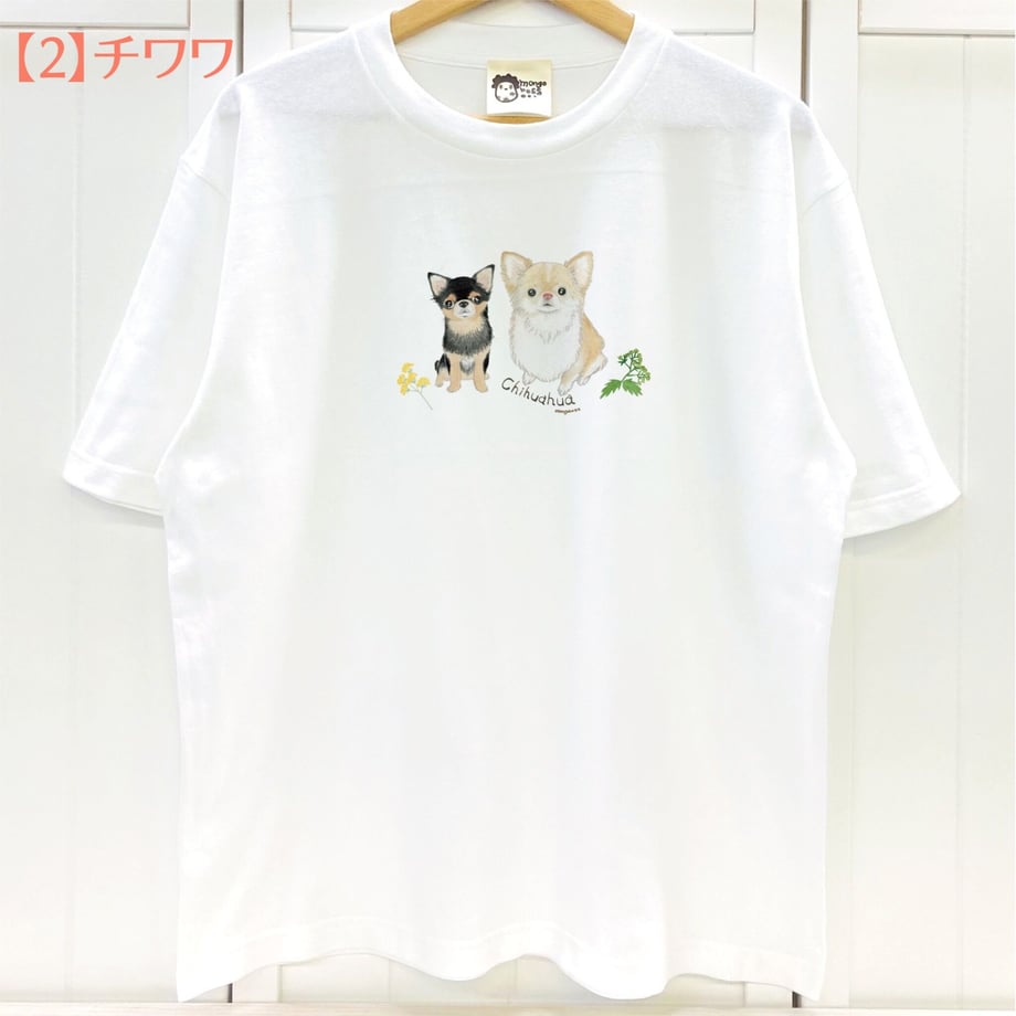 63ff13e57c42ee7ed09798eb