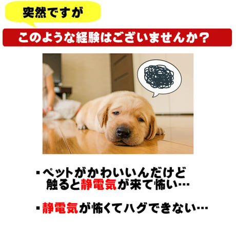 特許素材 5倍！ペット用犬用 猫用 首輪 小型犬 35cm 静電気除去ネックレス静電気対策 静電気軽減 静電気防止  pet-seidenki-35cm