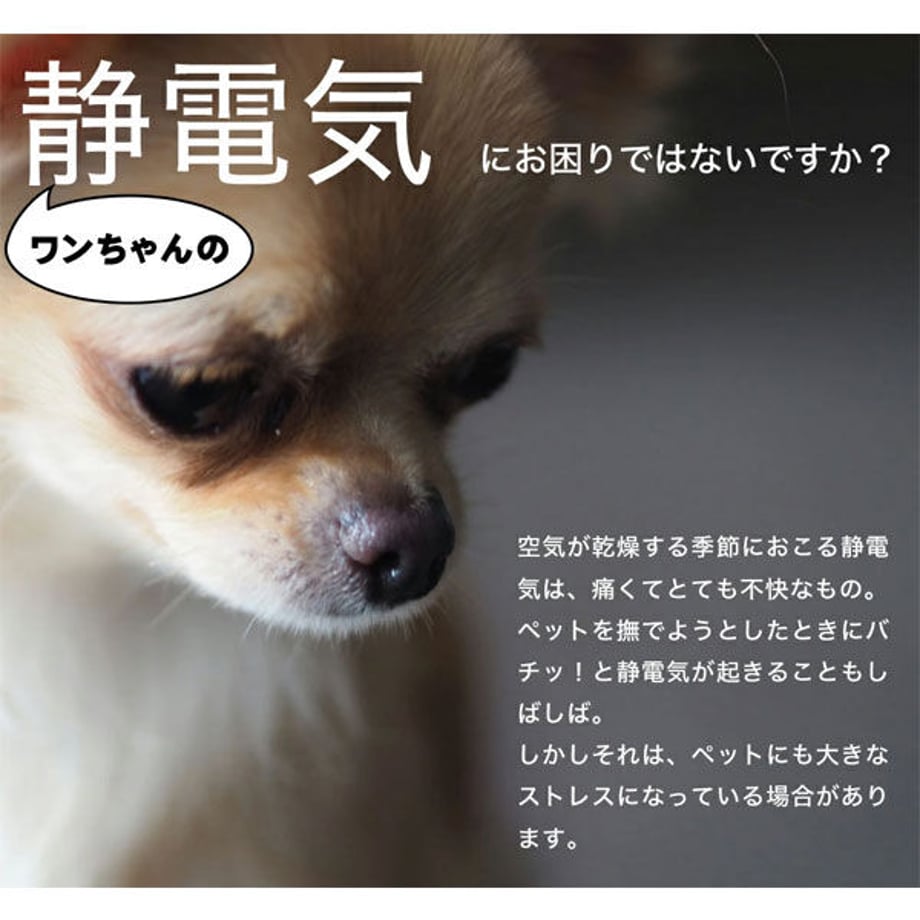 6038558cc19c451c40bf369a