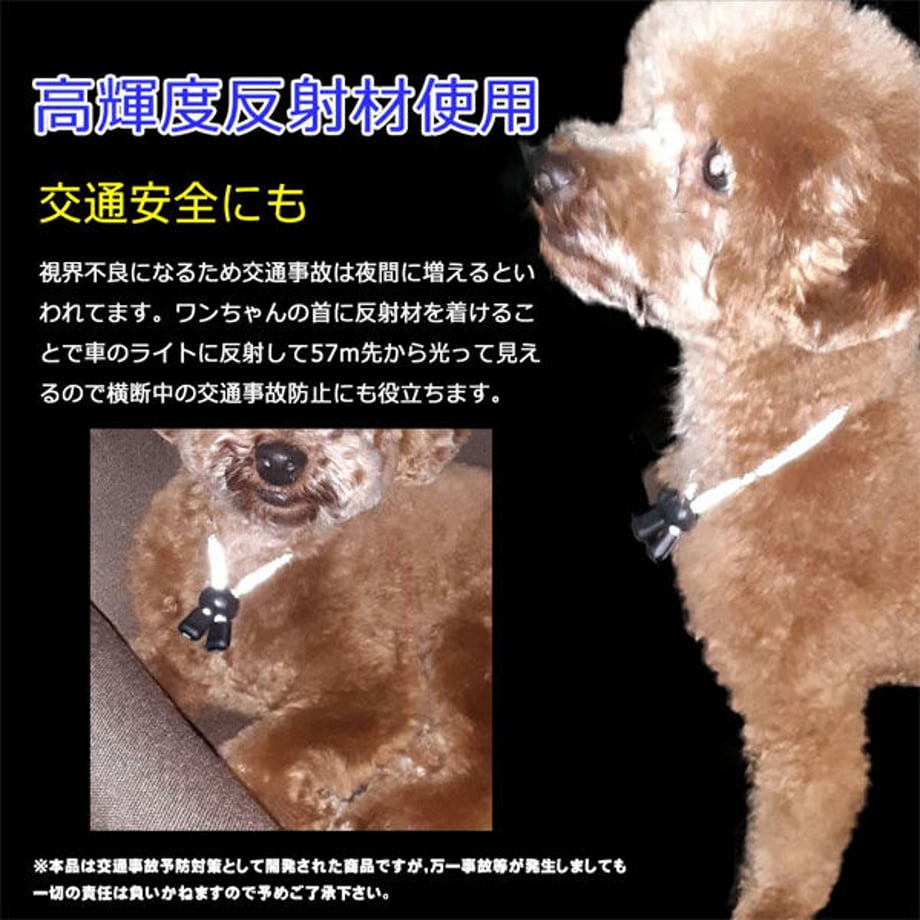 601221eb6728be28b8c41e38