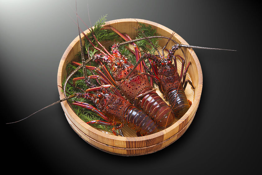 活〆冷凍伊勢海老 | かねちょう水産 オンラインショップ