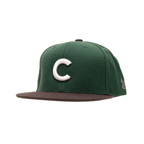 CAP / BBC 2TONE SNAPBACK