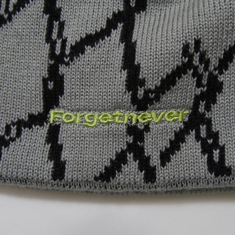 BREAK THE RULE BEANIE (GRAY)