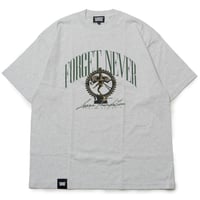 DANCE OF DESTRUCTION T-SHIRTS (ASH)