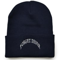 OLD ARCH LOGO BEANIE  (NAVY)