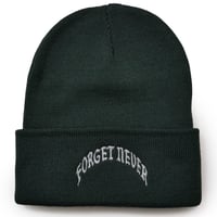 OLD ARCH LOGO BEANIE  (D.GREEN)
