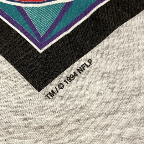 90s SALEM SPORTSWEAR NFL 75th anniversary Print T-Shirt