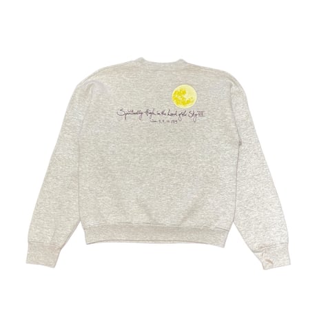 90s FRUIT OF THE LOOM Spiritually Sweatshirt