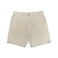 ’20 Patagonia Back Step Shorts 10”