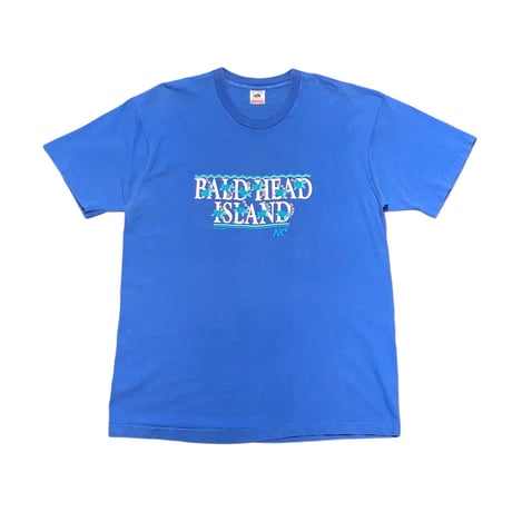 90s FRUIT OF THE LOOM Turtles T-Shirt