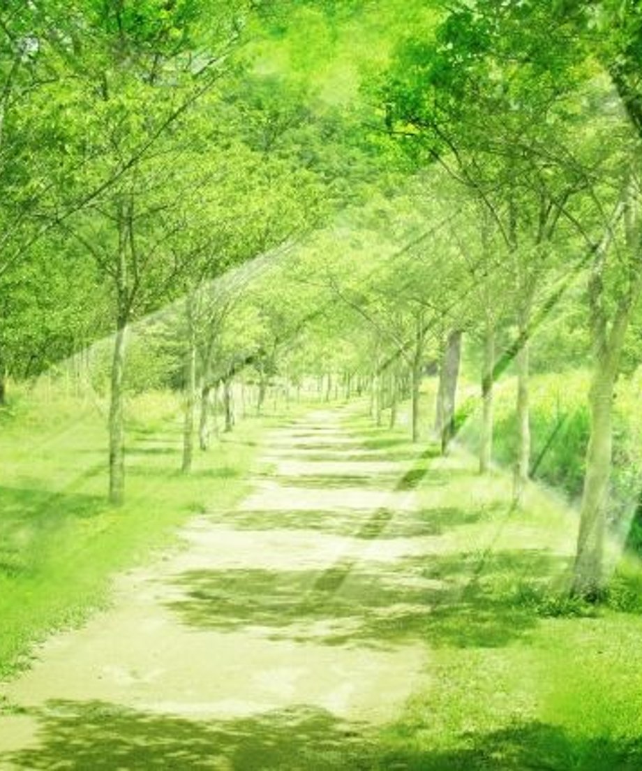 5e7323dd2a9a426424e0f966