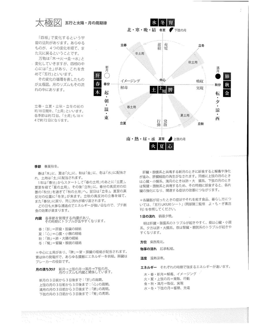 651bacae2390bc003348848f