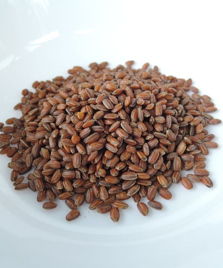 浅炒り玄米スープの素　1kg