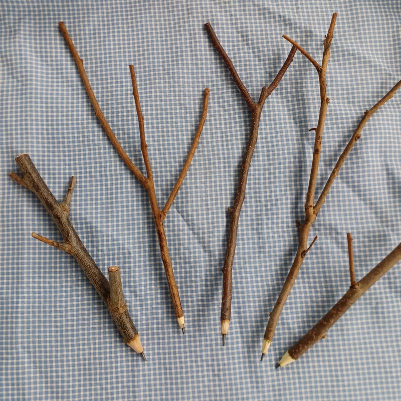木の枝えんぴつ 枝付きのもの5本 | 自然農法果樹園アイアイファーム 