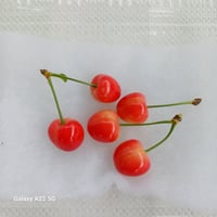 自然栽培のさくらんぼ30粒　品種おまかせ　60サイズクール便