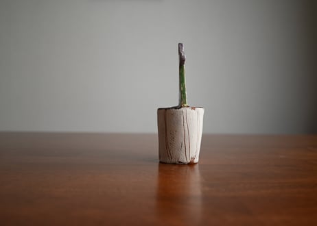 Bulgaria｜ Vsocks｜Botanical Art Ceramic