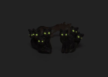 PalnartPoc｜夜の集会