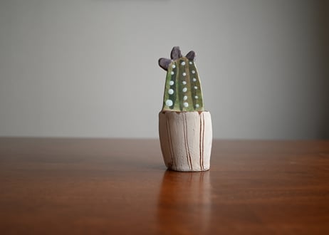 Bulgaria｜ Vsocks｜Botanical Art Ceramic
