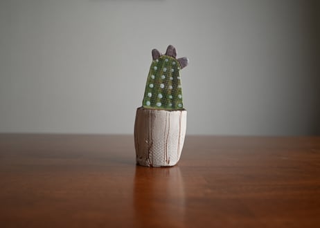 Bulgaria｜ Vsocks｜Botanical Art Ceramic