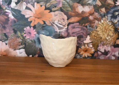 ドイツ｜Biberklau｜ceramic mug bowl face