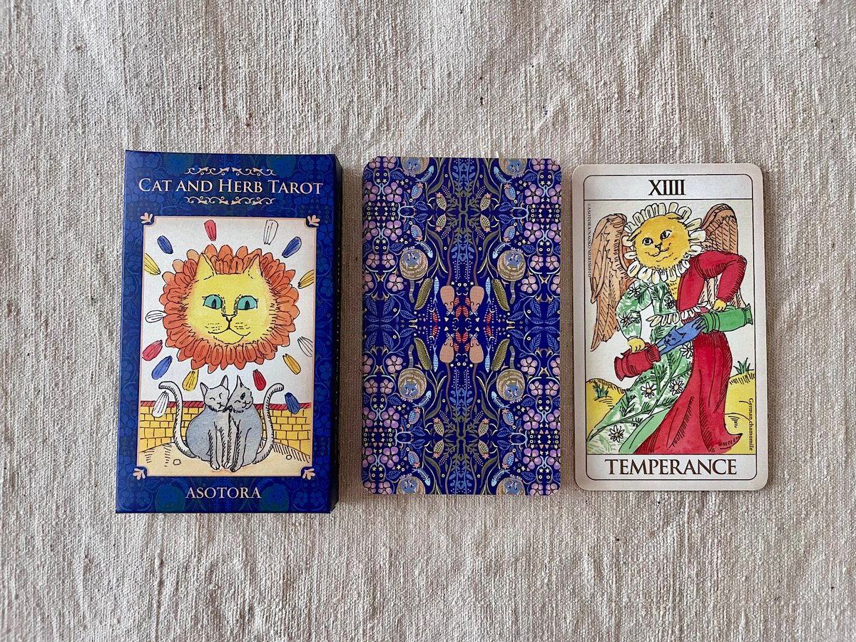 再入荷〉あそびトランプ堂｜CAT AND HERB TAROT | 雑貨と作家もの リリ
