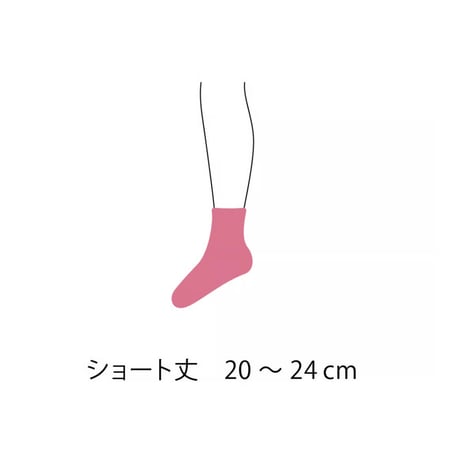 日々のくつ下薄薄