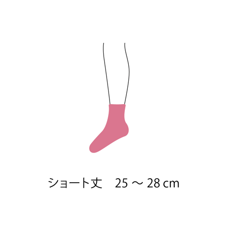 たっぷり毎日のくつ下 C . S丈