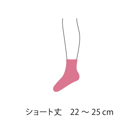 ラインくつ下