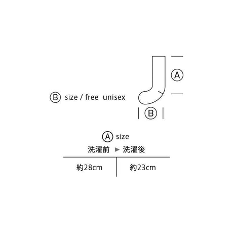 毎日のくつ下 M丈