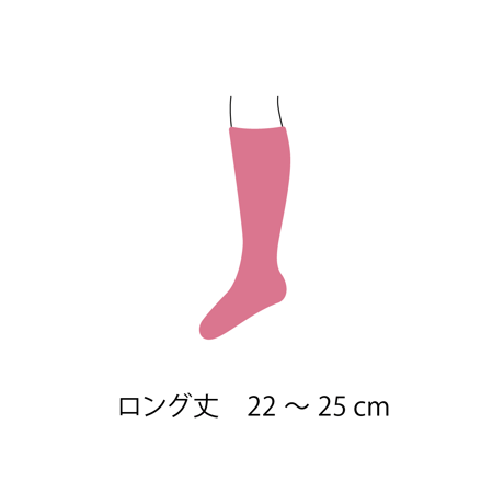 毎日のくつ下 C . CL丈