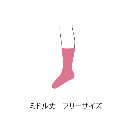 5本指くつ下
