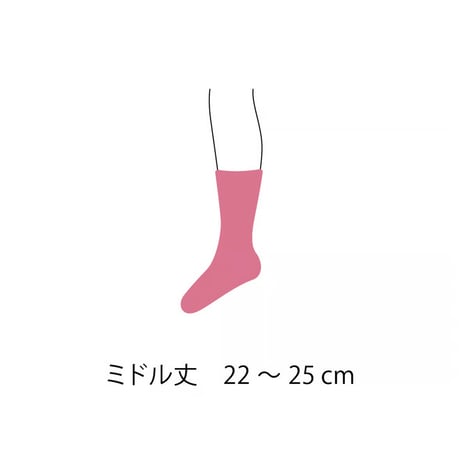＋Lamé綿くつ下