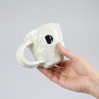 DOOKS cup