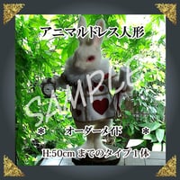＊－　ご注文ドレス人形　－＊約50㎝ドレスタイプ１体