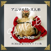 ＊－　ご注文ドレス人形　－＊約30㎝ドレスタイプ１体