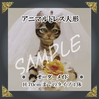 ＊－　ご注文ドレス人形　－＊約70㎝ドレスタイプ１体