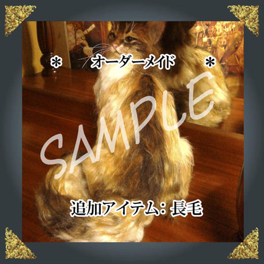 5906d77b428f2de3a70005eb