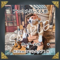 ＊－　ご注文ドレス人形　－＊約20㎝ドレスタイプ１体