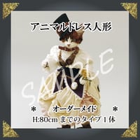 ＊－　ご注文ドレス人形　－＊約80㎝ドレスタイプ１体
